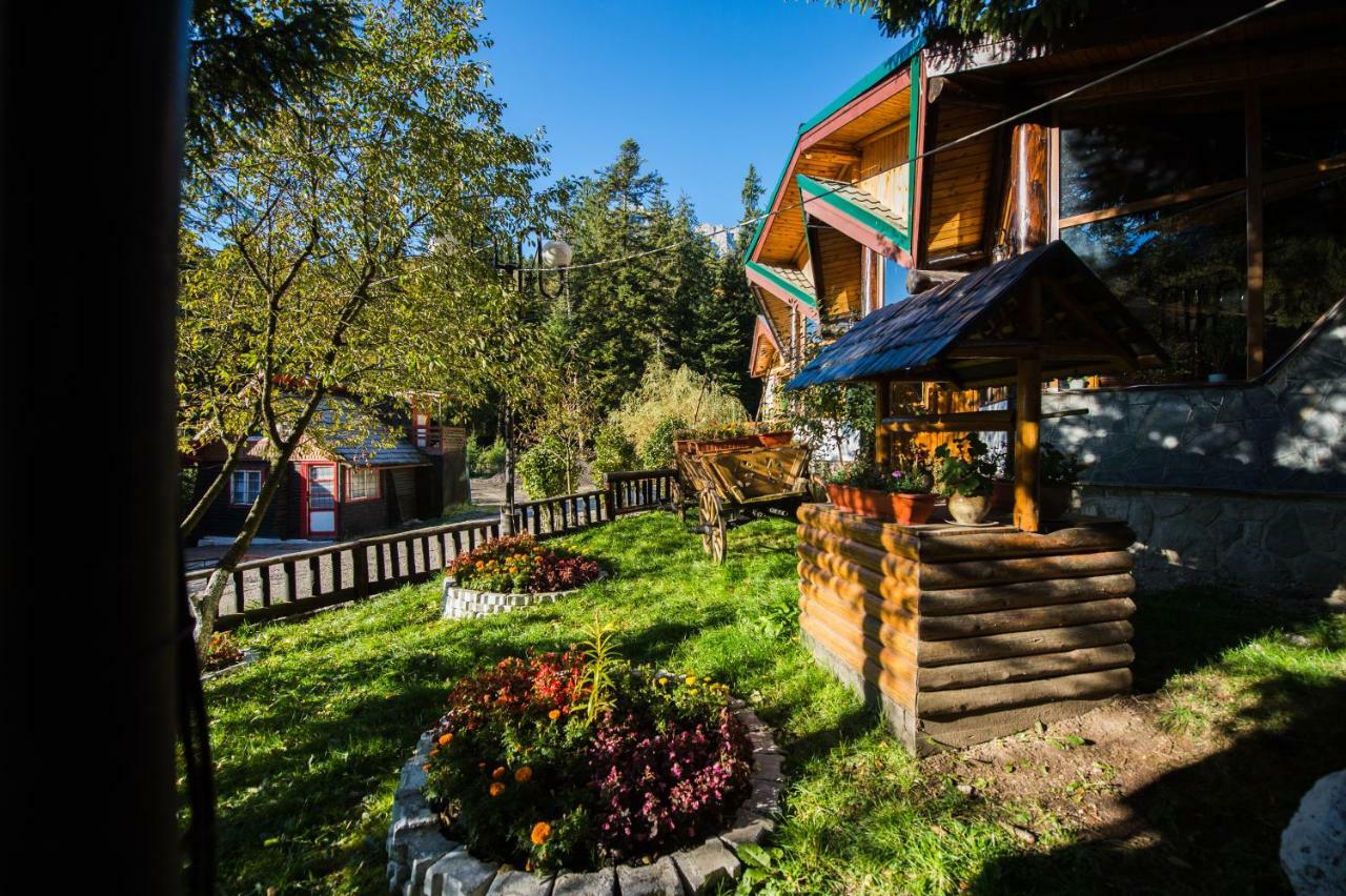 Gura Diham Hotel Buşteni Buitenkant foto